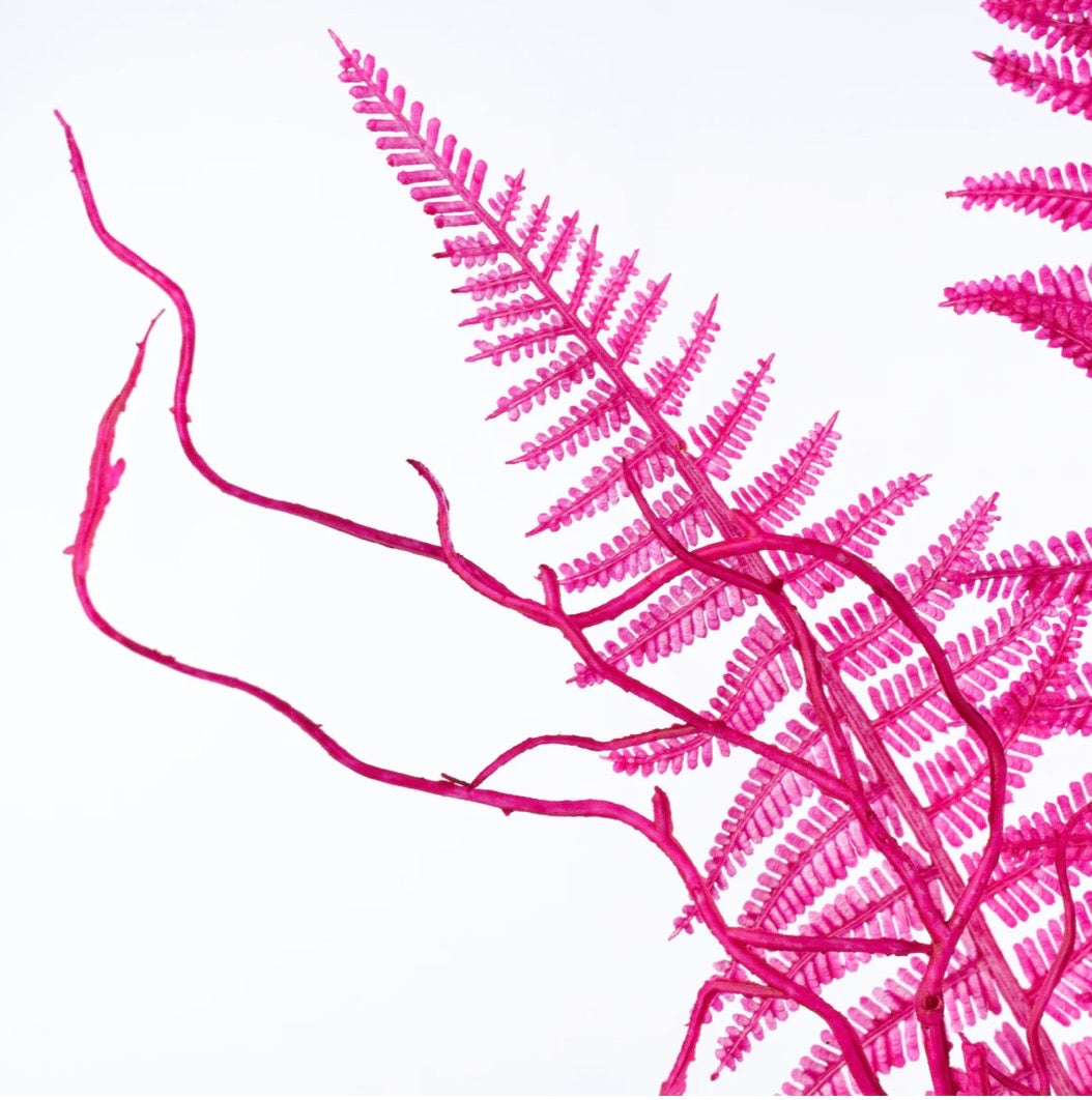 USA 20” plastic fern neon pink