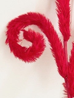 red fluffy curly spray