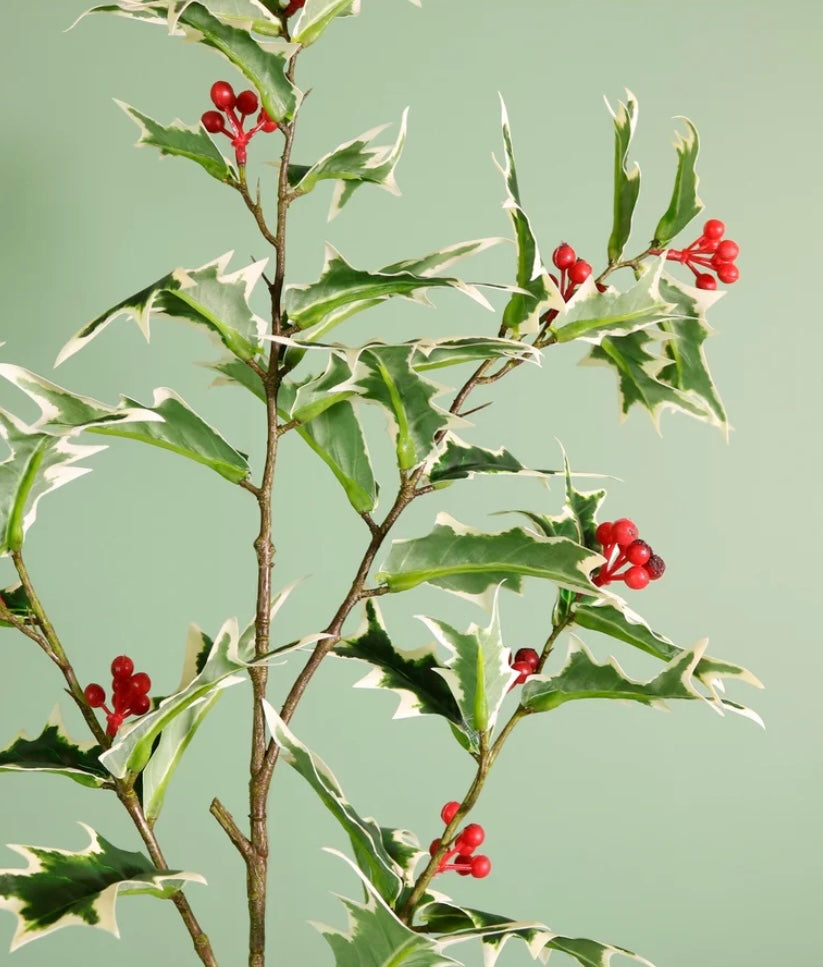 Winter large holly spray variegated
