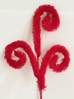 red fluffy curly spray