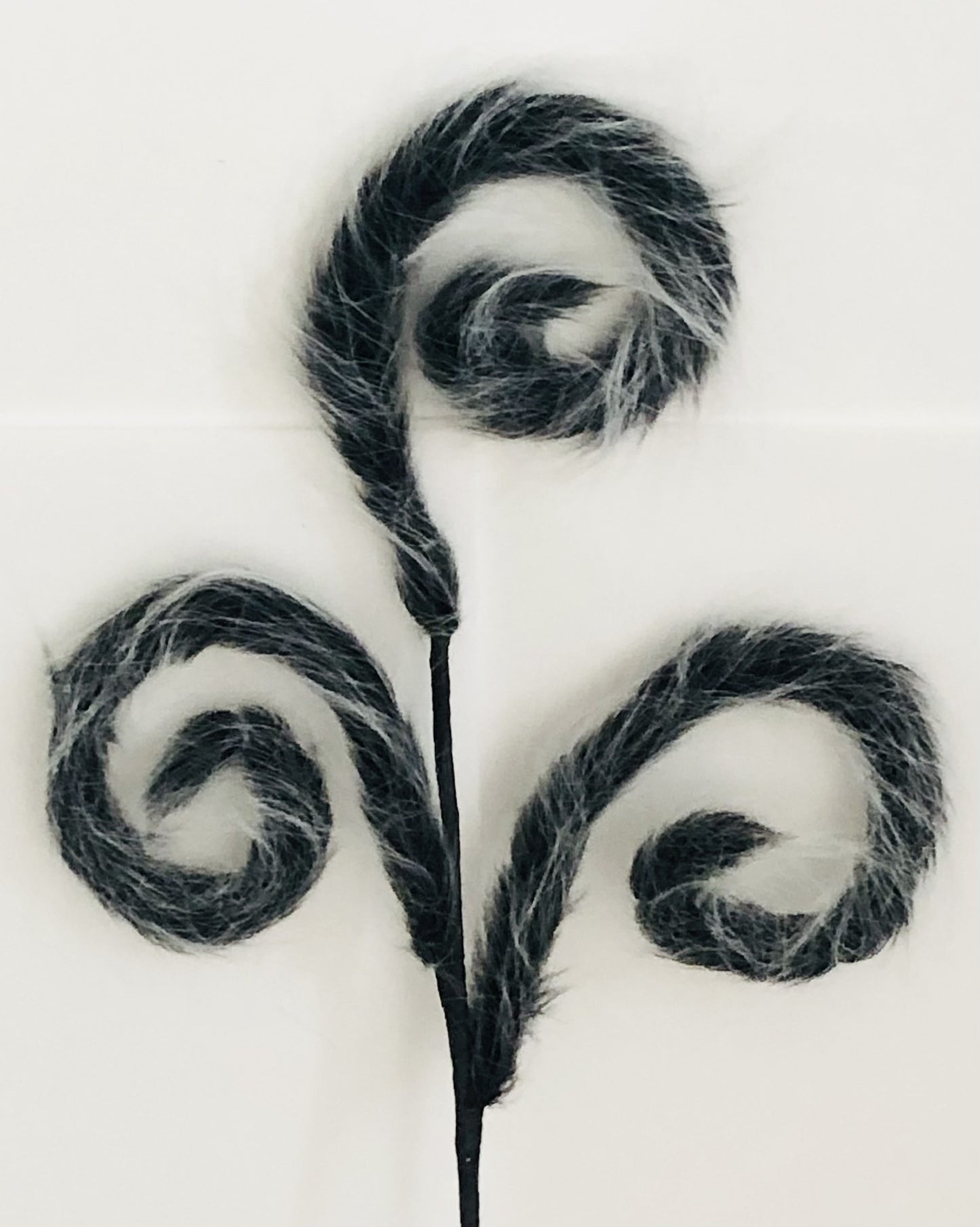 curly curl fluffy in black and gray spray