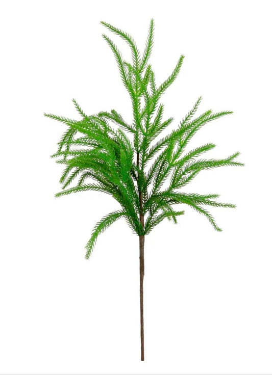 Real touch weeping Norfolk pine stem 60cm