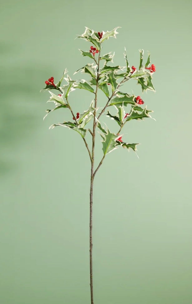 Winter large holly spray variegated