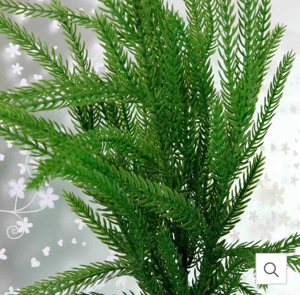 Real touch weeping Norfolk pine stem 60cm